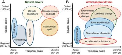 Impacts of salinization caused by sea level rise on the biological processes of coastal soils - A review